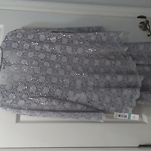 R & M Richard's 2pc Lace & Sequined Dress - Picture 9 of 14